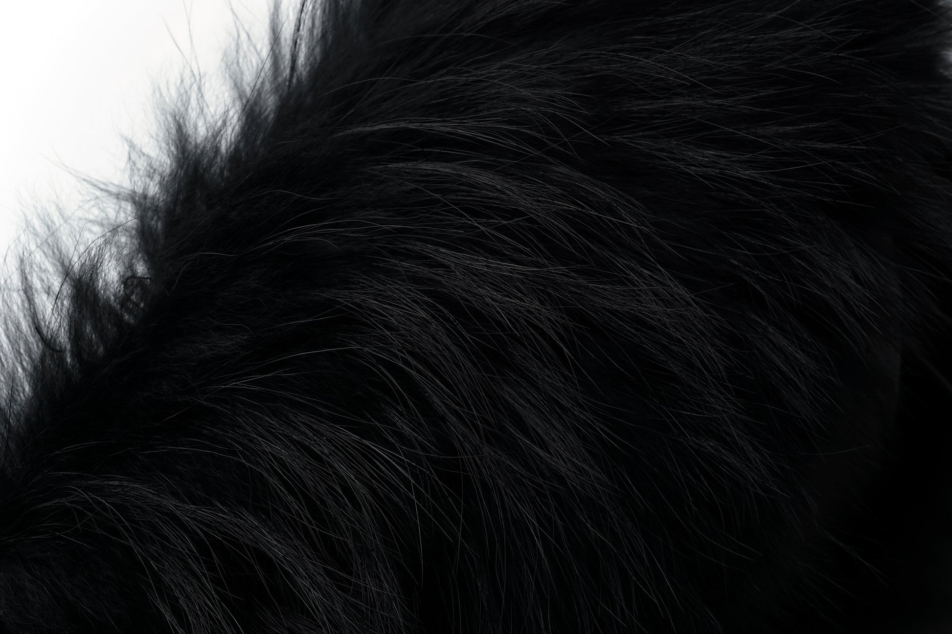 Fox Fur Hooded Fitted Down Jacket